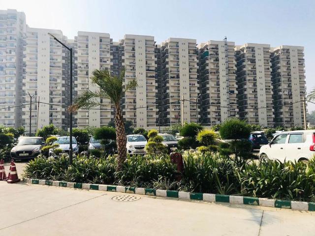 Rental | 2 BHK 800 Sq.Ft. Apartment in Signature Global The Roselia
