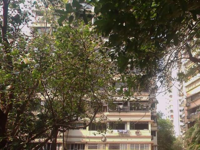 Rental | 2 BHK + 950 Sq.Ft. Apartment in Sukhmani Apartments