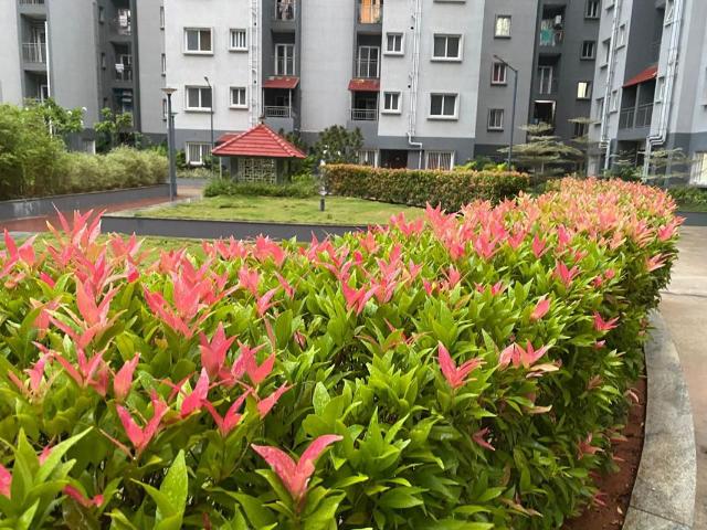Rental | 2 BHK + Pooja Room 769 Sq.Ft. Apartment in Bren Northern Lights