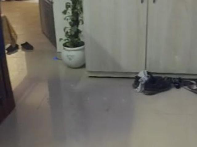 Rental | 2 BHK + Pooja Room 995 Sq.Ft. Apartment in Proview Officer City 2