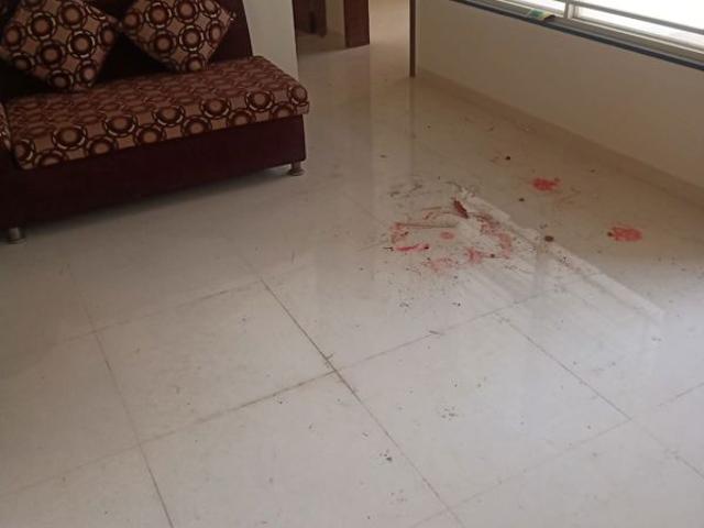 Rental | 2 BHK + Pooja Room,Servant Room,Study Room,Extra Room,Basement,Store Room 800 Sq.Ft. Apartment in Manav La Centra