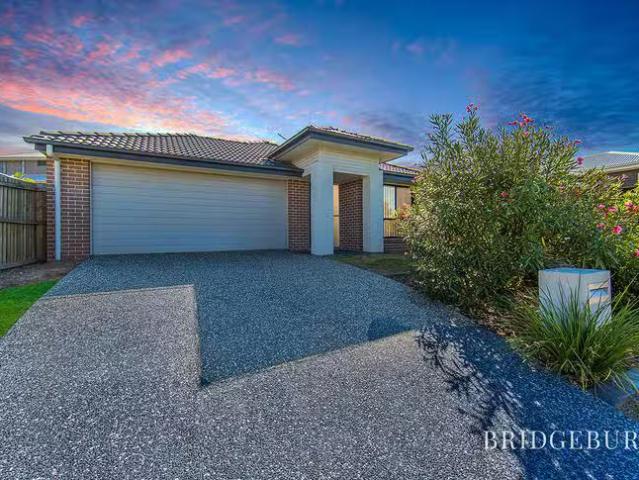 Cheap 31 Palmerston Street, North Lakes, QLD 4509