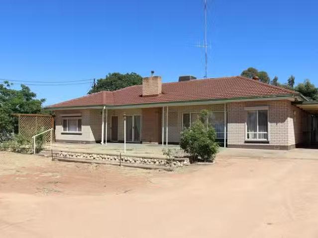 New 49 Worman Street, Berri, SA 5343