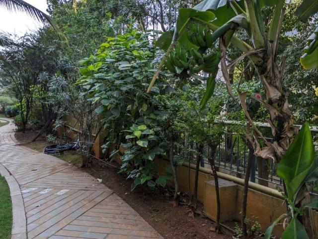 Rental | 4 BHK 3000 Sq.Ft. Villa in Prabha Park Baner