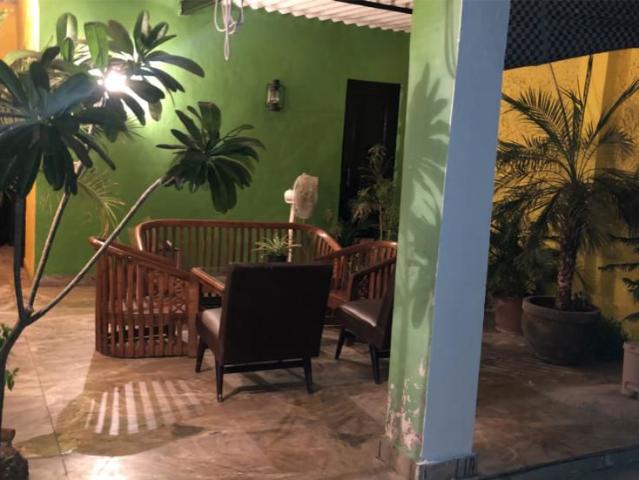 Rental | 4 BHK + Servant Room,Study Room 250 Sq.Yd. Apartment in Sector 14