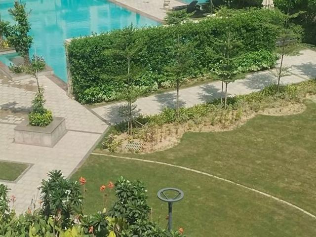 Rental | 4 BHK + Pooja Room 250 Sq.Yd. Apartment in BPTP Amstoria