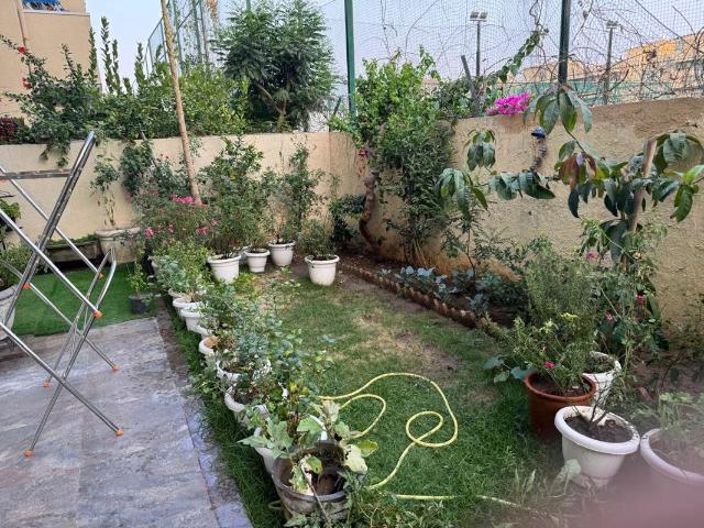 Rental | 4 BHK + Pooja Room,Servant Room,Study Room 349 Sq.Yd. Apartment in Emaar MGF Emerald Hills