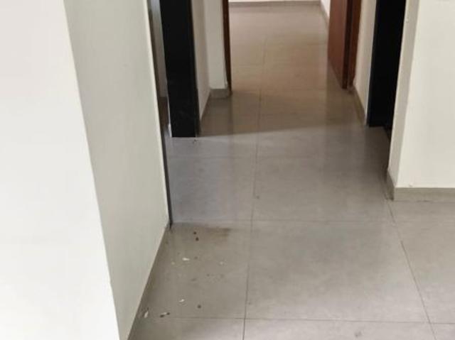 Rental | 4 BHK + Pooja Room,Servant Room,Study Room,Extra Room,Basement 1480 Sq.Ft. Apartment in Wadhwa TW Gardens
