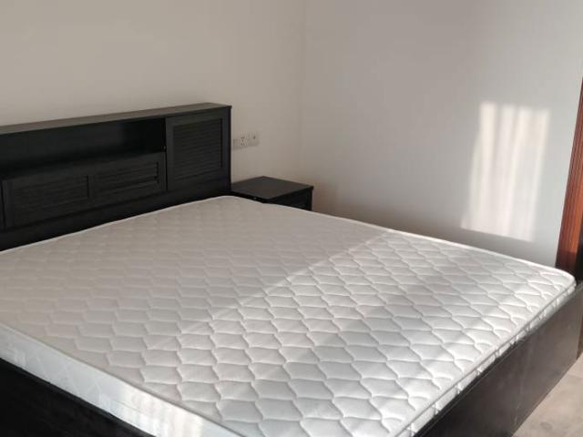 Rental | 4 BHK + Prayer Room,Servant Room,Study Room,Extra Room,Store Room 3350 Sq.Ft. Apartment in Vasant Vihar