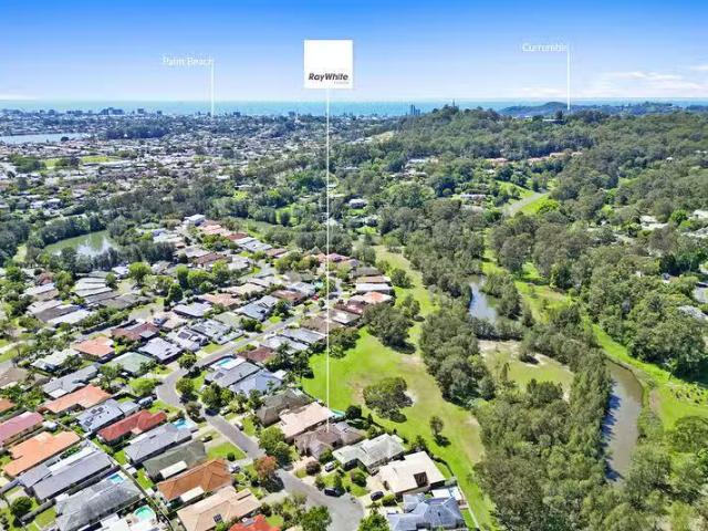 For Rent! 50 Ottelia Drive, Elanora, QLD 4221