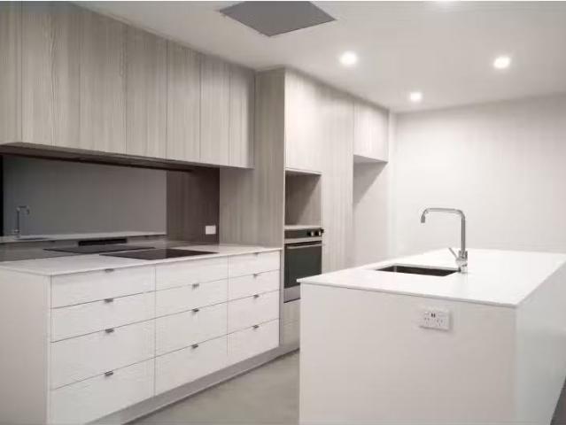 Cozy 519/253 Northbourne Avenue, Lyneham Apartment for rent L.