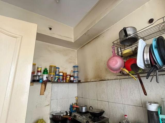 Rental | 5 BHK + Servant Room,Study Room 5558 Sq.Ft. Penthouse in Logix Blossom County