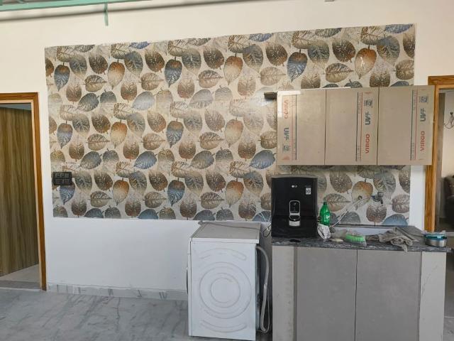 Rental | 6+ BHK + Extra Room,Basement,Store Room 502 Sq.Yd. Villa in Sector 52