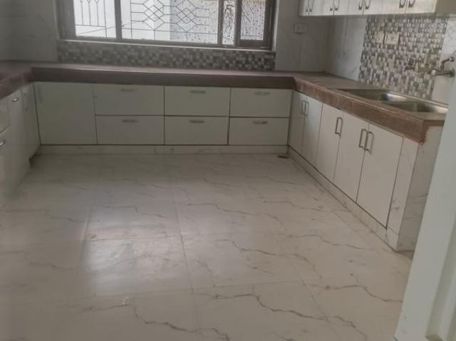 Rental | 6+ BHK + Pooja Room,Servant Room,Study Room,Basement 4500 Sq.Ft. Independent House in RWA Apartments Sector 61