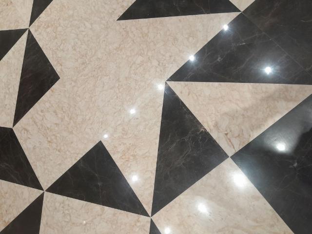 Rental | 6+ BHK + Pooja Room,Servant Room,Study Room,Extra Room,Basement,Store Room 9500 Sq.Ft. Independent House in Vasant Vihar