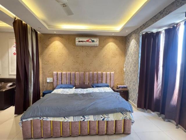 Rental | 6+ BHK + Pooja Room,Servant Room,Study Room,Extra Room 500 Sq.Yd. Independent House in Sector 21C