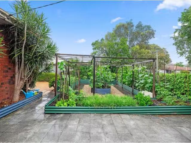 Just in! 8 Sabre Avenue, Raymond Terrace House for rent Liste.