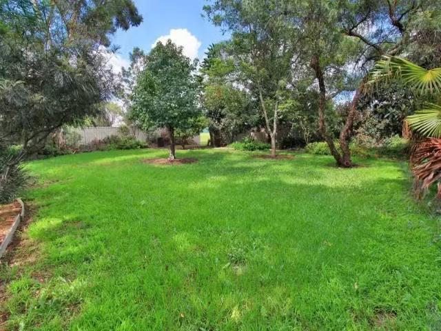 Unique 9 Alan Street, Box Hill House for rent Listed by Carme.