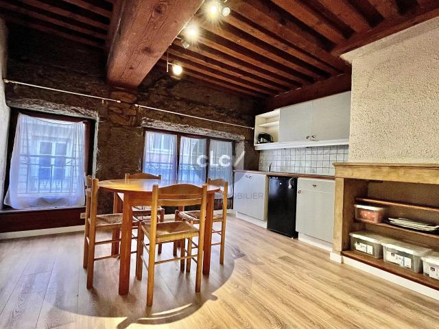 Rental Apartment Lyon 1er