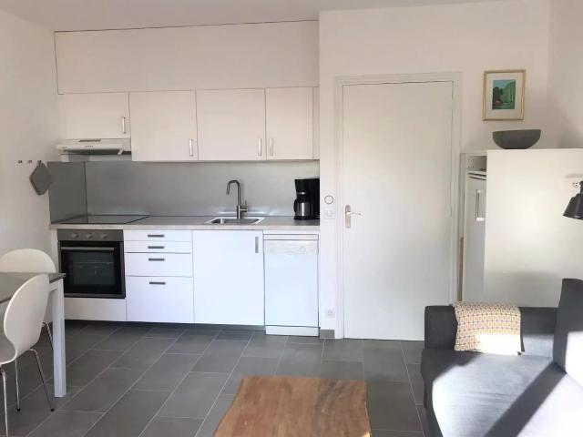 rental apartment villeneuve loubet