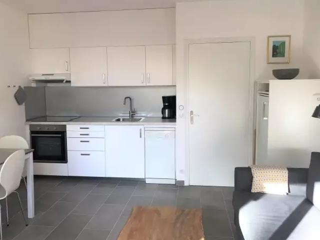 rental apartment villeneuve loubet