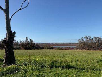 RENTAL PROPERTY SECLUDED AND PEACEFUL