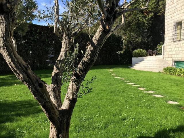 Rental Villa Mougins La Peyrière