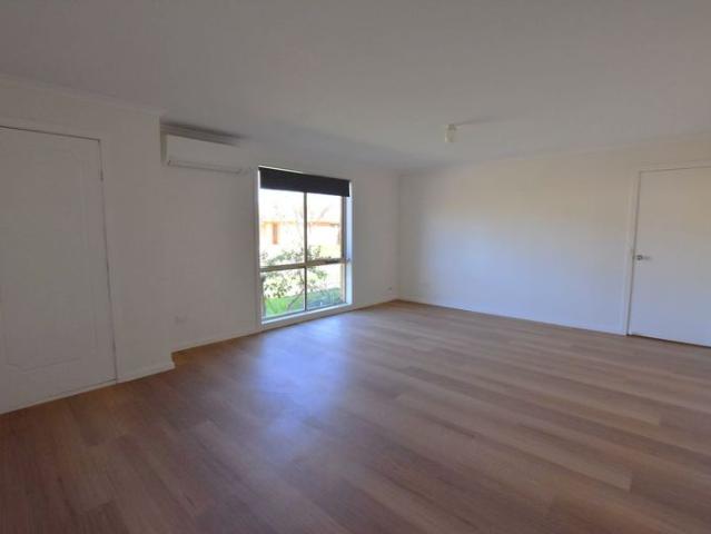 RENTERS WANTED.