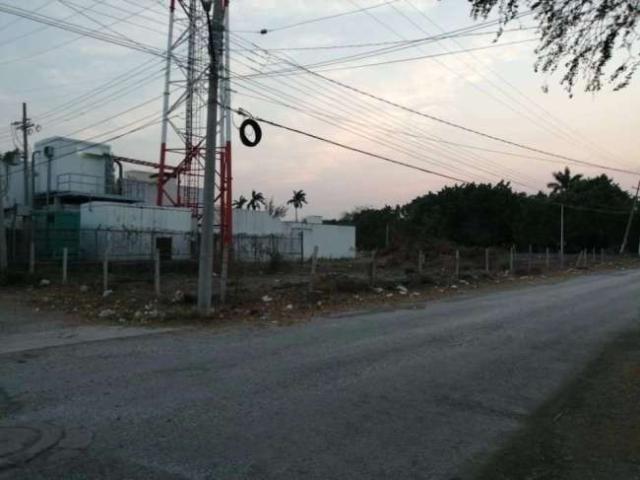 Rento terreno calle Xicotencatl el Mante Zona Centro