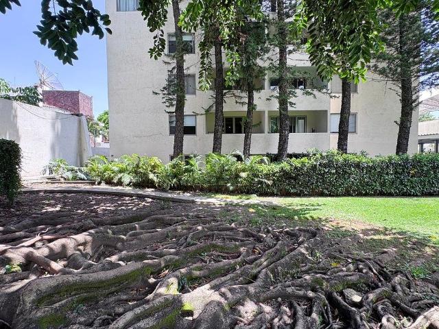 Rento Departamento con jardín privado en Zona Norte Cuernavaca, Morelos