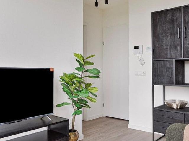Rentmeesterstraat 54B