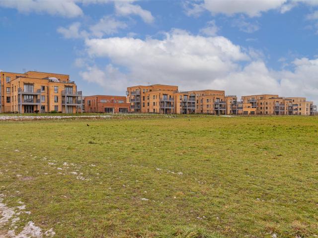 Renard Way, Trumpington
