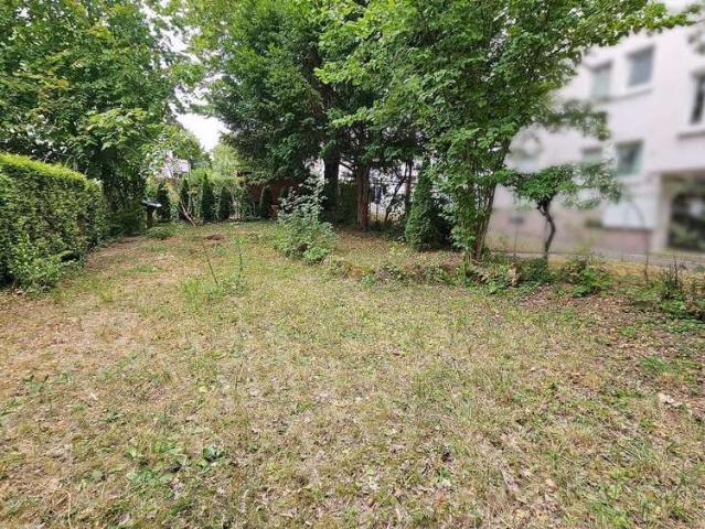 Renditepotential von ca. 6,8% Bezugsfreies 3 Zimmer Raumwunder m. Einbauküche & Gartenmitbenutzung