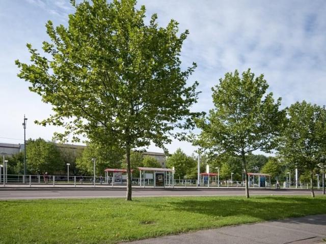 Rennbahnring 61 An der Rennbahn