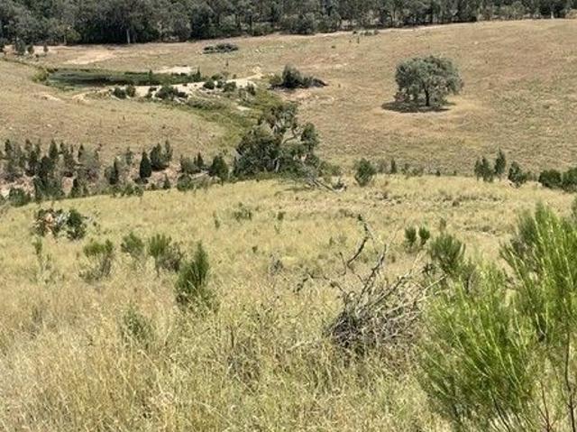 Renowned Grazing Property Silver Spur