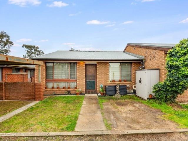 Renovate, Invest, or Break into the Market!