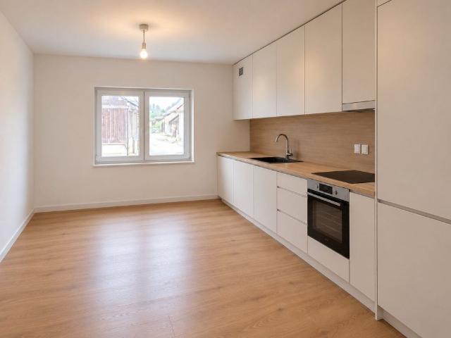 Renovated 3.5 room apartment 2 bedrooms on the 1st floor