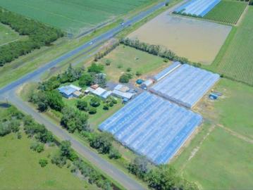 Bundaberg Irrigated Horticulture Farm | 10 Acres | Greenhouses, 11ML Bore Water & Renovated Home