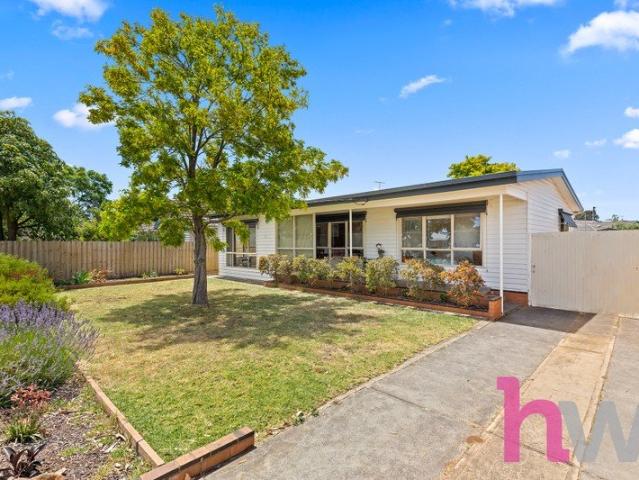 Renovated 3 Bedroom Home with Shed & Side Access