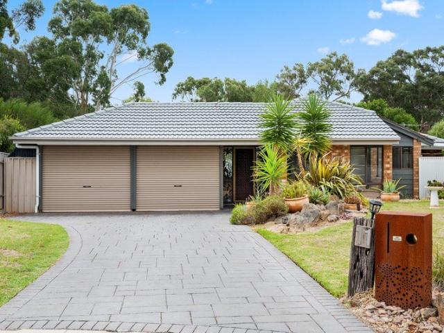 Renovated 3 Bedroom Home with Study & Solar