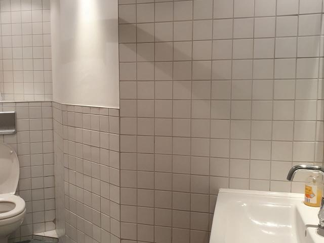 Renovated 1,5 room apartment close to the main station, Koln Amsterdam Apartments for Rent