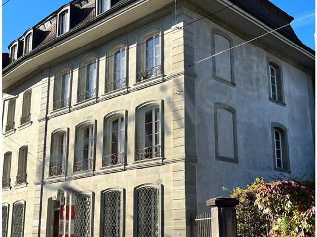 Renovated 1 room apartment for rent near Freiburg Cathedral