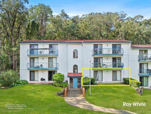 Fully Renovated | Ground Floor Living | Direct Access to Springwood Conservation Park