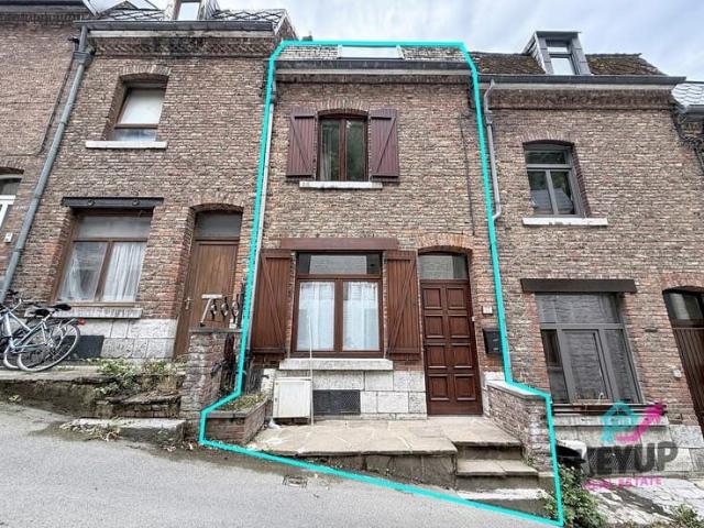 Renovated 2 bedroom house in Dinant