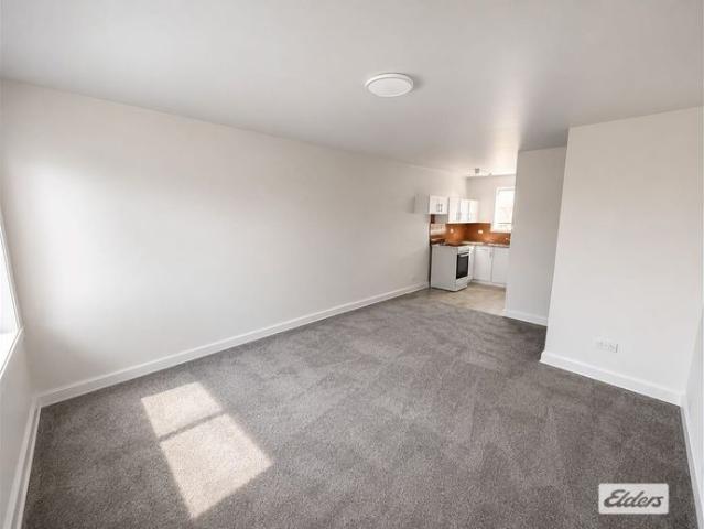Renovated 2 Bedroom Unit