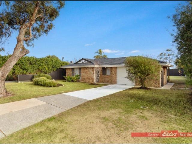 Renovated 4 x 2 in Central location!