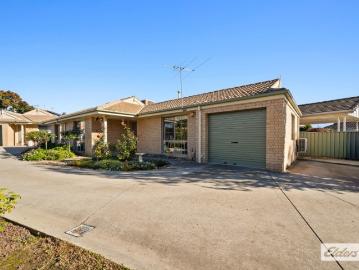 Renovated and Ready!