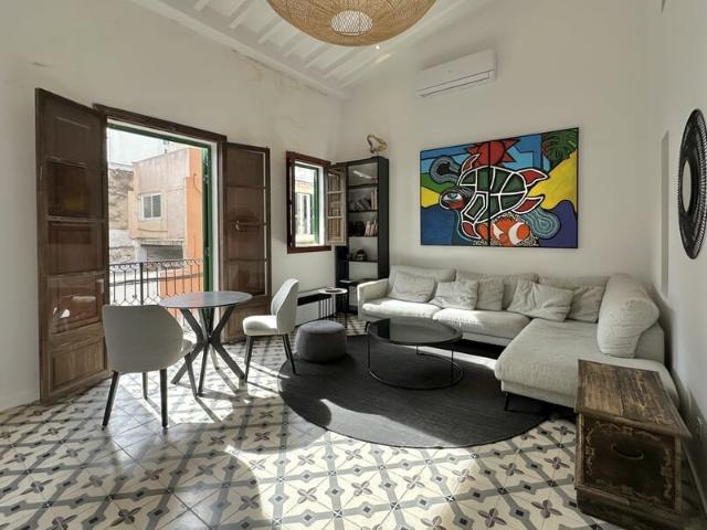 Renovated apartment with terrace in Santa Catalina