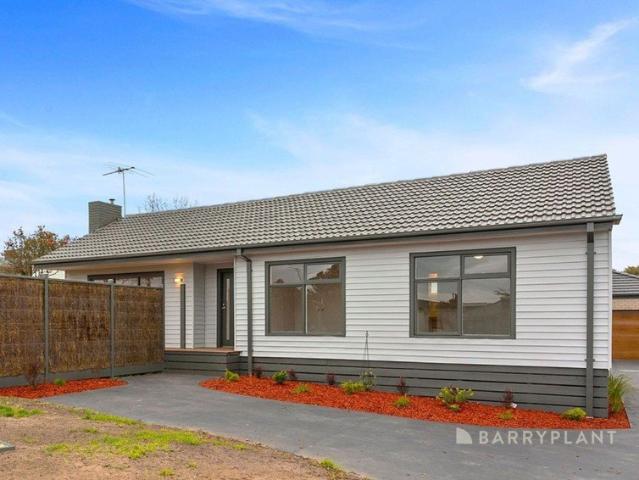 Renovated, golden triangle starter
