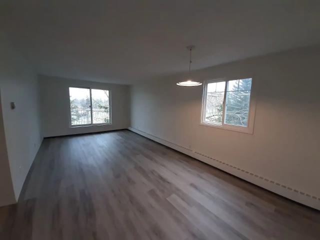 Renovated Dalhousie 2 Bedroom Condo — 2 Bedrooms Apartment
